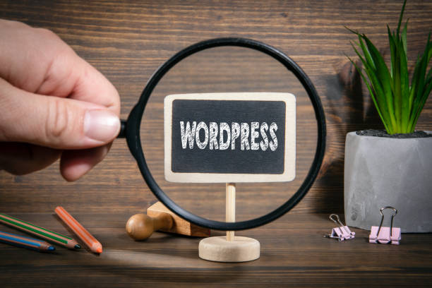 WordPress Installation Services Company